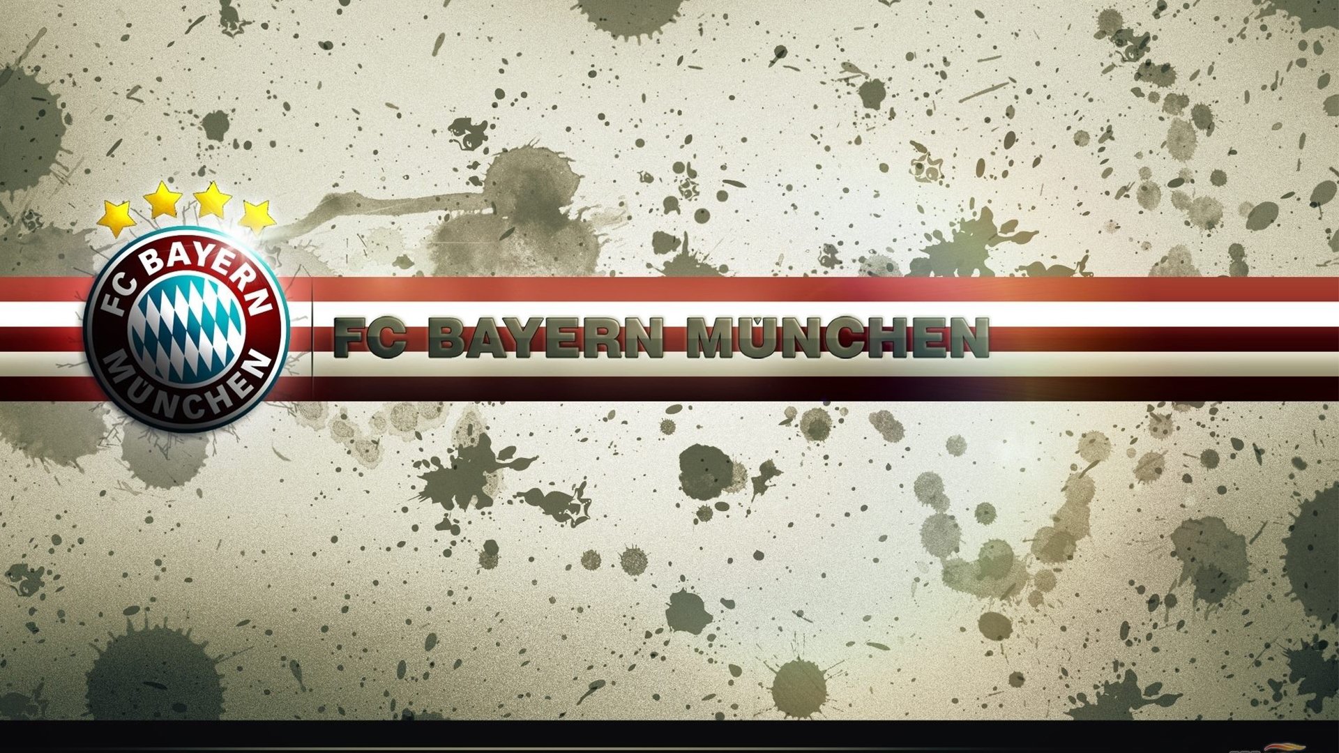 冠军故事:本年度青年运动员成长纪实特写,青年运动员的故事